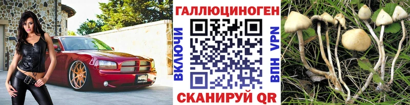 даркнет сайт Сыктывкар Псилоцибиновые грибы Cubensis